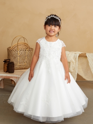 Ivory Cap Sleeved Lace Applique Dress with Mesh Overlay Skirt
