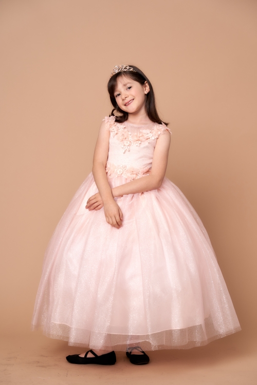 CA_D816_BH - Blush Flower Adorned Dress with Sparkle Tulle Skirt - Girls Birthday  Dresses 6mth- size 18 - Flower Girl Dresses - Flower Girl Dress For Less