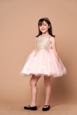 Blush Dress with Gold Embellishments and Illusion Neckline