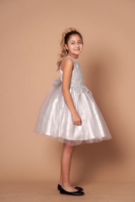 Silver Dress with Silver Embellishments and Illusion Neckline