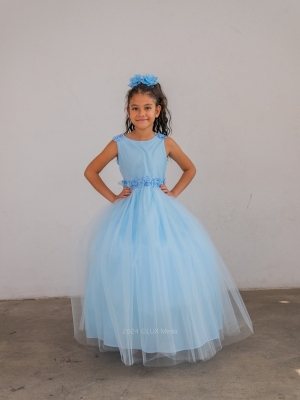 Light Blue Tulle Dress with Floral Details