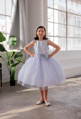 Silver Dress with Sequin Bodice and Tulle Skirt