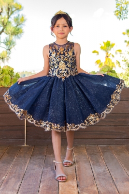 Navy Dress with Gold Sequined Lace Details