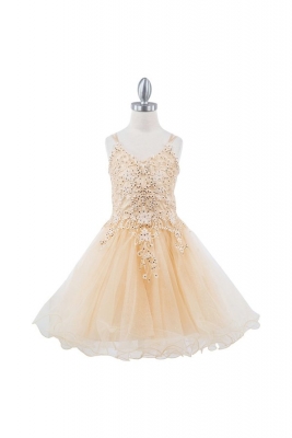 Champagne Double Spaghetti Strap Rhinestone Embroidered Applique Tulle Dress