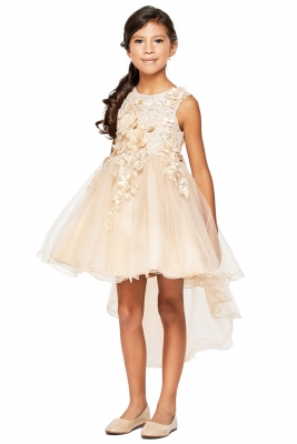 Taupe Short High Low Floral and Tulle Dress