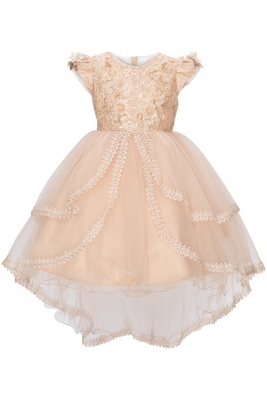 Taupe Lace and Sequin Cap Sleeve High Low Dress