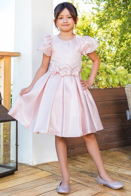 Blush Puff Sleeve Dress with Flower Waist and Pleated Skirt