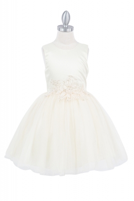 Champagne Elegant Sleeveless Satin and Tulle Dress