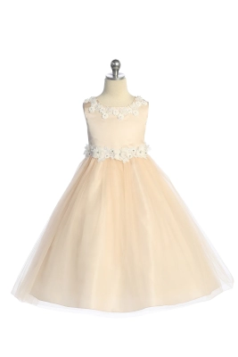 Blush Luxurious Princess Ball Gown Dress