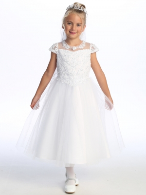 Cap Sleeve Illusion Neckline Dress with Corded Embroidery - SP729