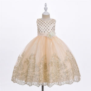 Champagne Embroidered Dress with Sequin and Floral Details