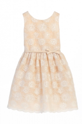 Champagne Flower Embroidered Mesh Dress with Soft Sequin Detail