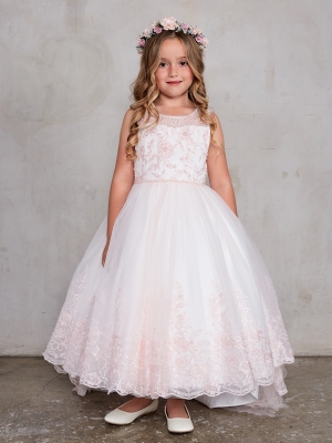 Beautiful Dress with Lace Applique Train Skirt in Blush