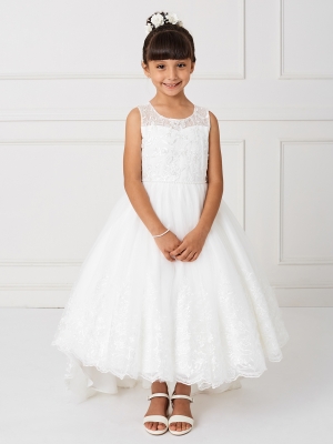 Beautiful Dress with Lace Applique Train Skirt in Ivory