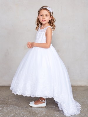 Beautiful Dress with Lace Applique Train Skirt in White