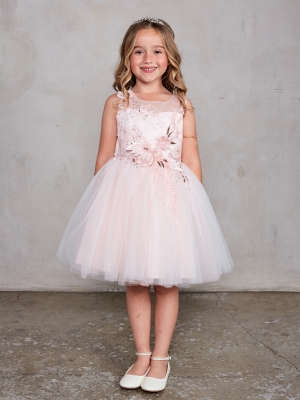 Blush Sleeveless Dress with 3D Flowers and Mesh Overlay Skirt