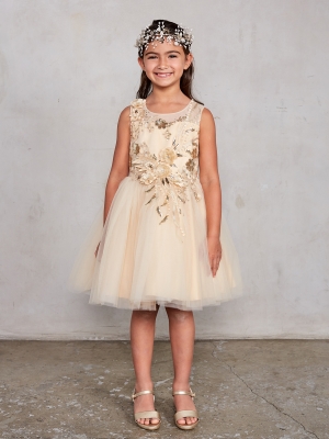Gold Sleeveless Dress with 3D Flowers and Mesh Overlay Skirt