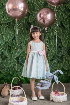 Blue and Pink Organza Butterfly Burnout Dress