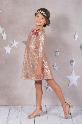 Rose Three Quarter Sleeve Sequin Dress