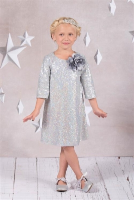Silver Three Quarter Sleeve Sequin Dress