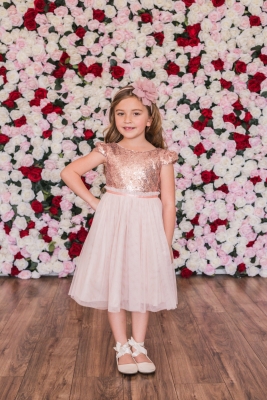 Blush Cap Sleeve Sequin Mesh Pleated Dress