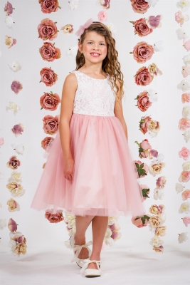 Dusty Rose Sleeveless Lace Illusion Dress