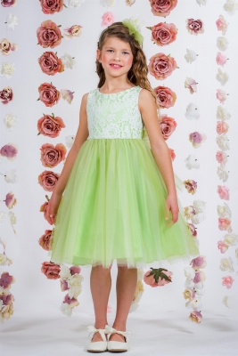 Green Sleeveless Lace Illusion Dress
