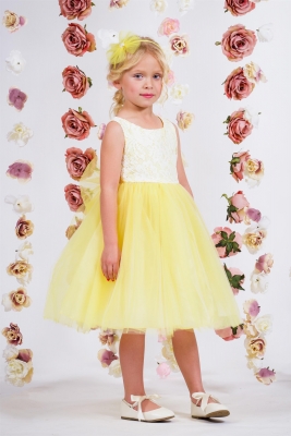 Yellow Sleeveless Lace Illusion Dress