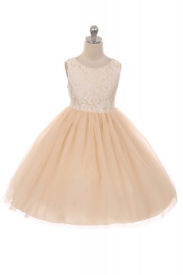 Champagne Sleeveless Lace Illusion Dress