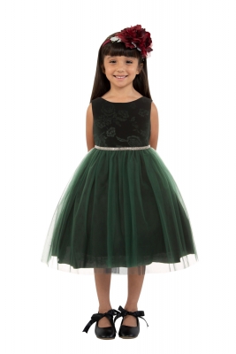 Green Embossed Floral Velvet Tulle Dress