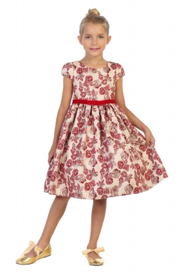 Red Short Sleeve Brocade Dress