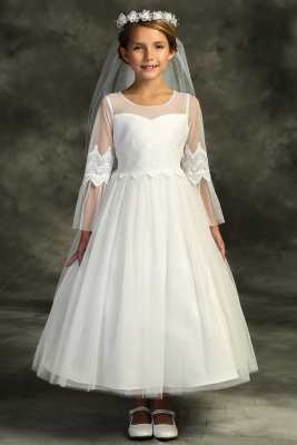 White Embroidered Mesh Ruffle Sleeve Dress