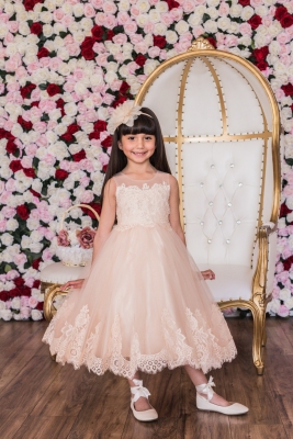 Rose Lace Appliqué Illusion Bateau Dress