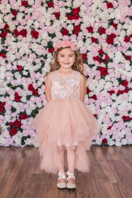 Rose Embellished Appliqué Detachable Skirt Dress