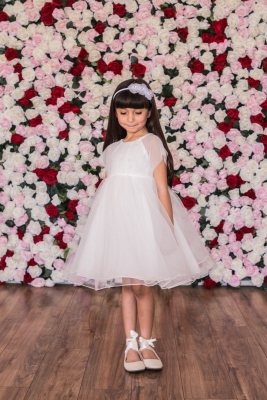 Off White Mesh Sleeve Dress with Pearl Details