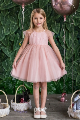 Pink Mesh Sleeve Dress with Pearl Details
