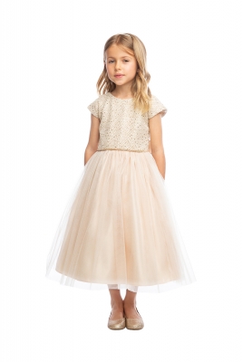 Champagne Sequin Diamond Knit Dress with Crystal Tulle