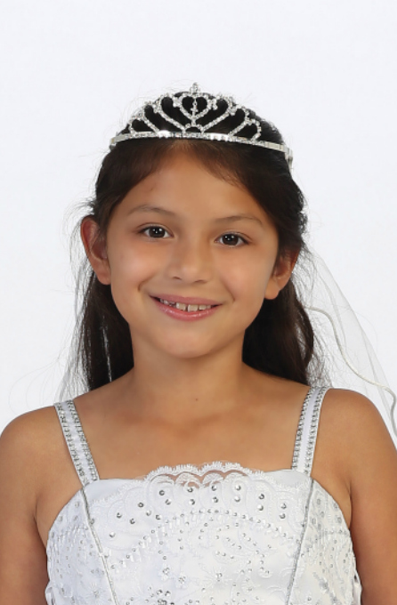 Virgin Mary Embroidered Tiara Crown Mesh First Communion Veil Flower Girl
